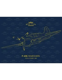 P-40K Warhawk DUAL COMBO, 1/48 - Eduard Plastic Kits R0024