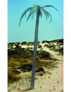 Palm tree, 1/35 - Royal Model RM056