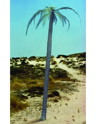 Palm tree, 1/35 - Royal Model RM056