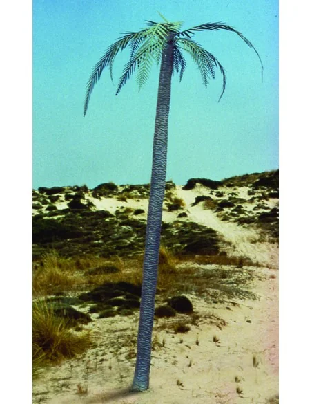 [NO_DESC] Palm tree, 1/35 - Royal Model RM056