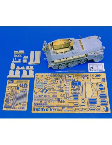 Sd. 250/1 le Spw Alte (for Dragon kit), 1/35 - Royal Model RM237