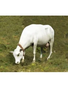 Cow standing, 1/35 - Royal Model RM747