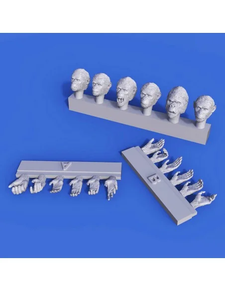 Apes Heads & Hands set, 1/35 - Royal Model RM833