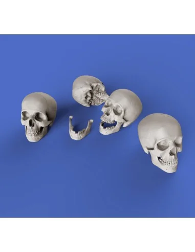Skulls, 1/35 - Royal Model RM853