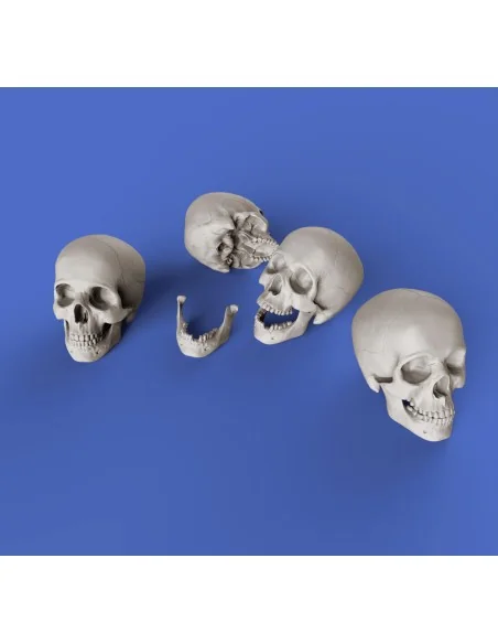 Skulls, 1/35 - Royal Model RM853