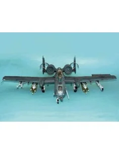 Fairchild A-10 A Thunderbolt N/AW, 1/32 - Trumpeter 02215 2