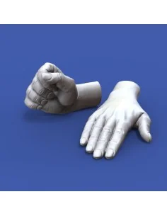 Assorted hands set No. 1, 1/16 - Royal Model RM962