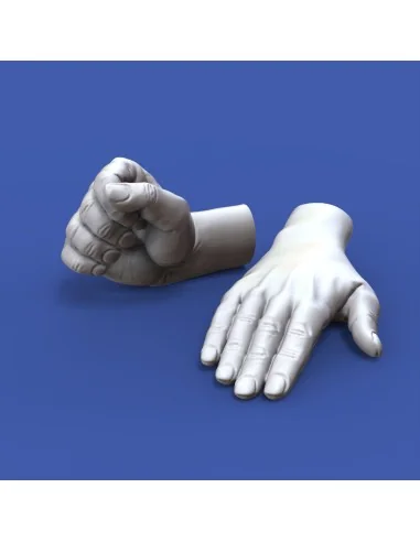 [NO_DESC] Assorted hands set No. 1, 1/16 - Royal Model RM962
