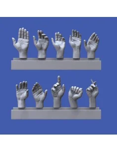 Assorted hands set No. 1, 1/16 - Royal Model RM962 2