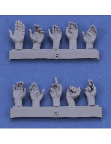 Assorted hands set No. 1, 1/16 - Royal Model RM962