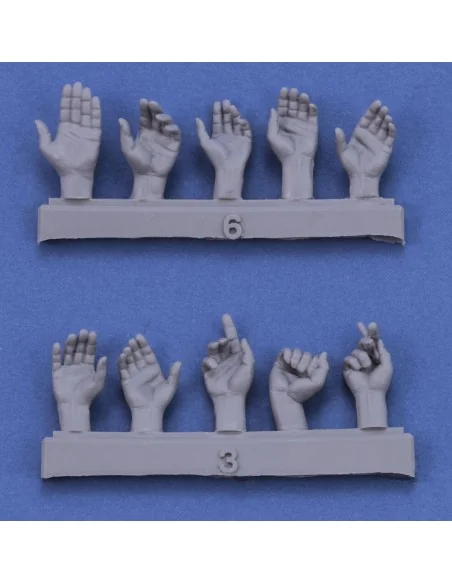 Assorted hands set No. 1, 1/16 - Royal Model RM962