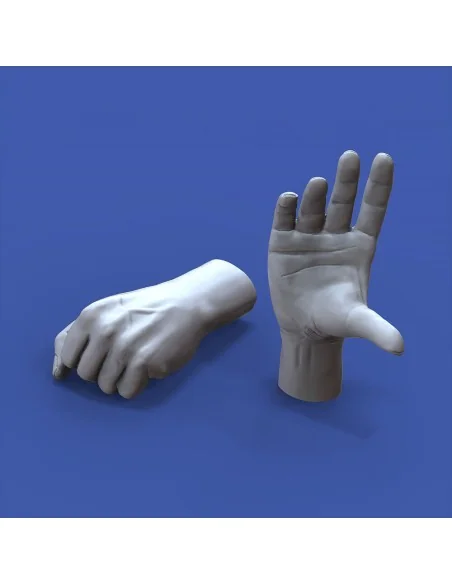 Assorted hands set No. 2, 1/16 - Royal Model RM963