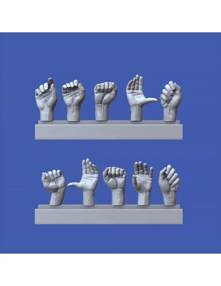 Assorted hands set No. 2, 1/16 - Royal Model RM963