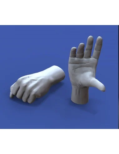 Assorted hands set No. 3, 1/16 - Royal Model RM964