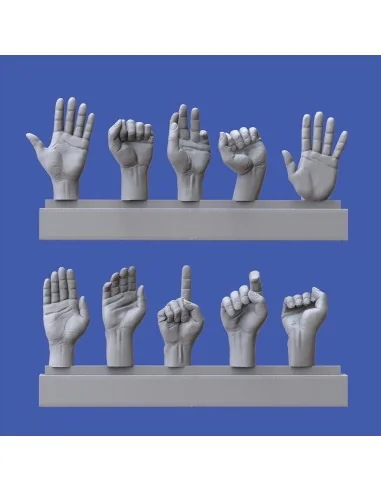 Assorted hands set No. 3, 1/16 - Royal Model RM964