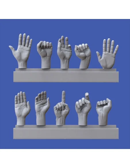 Assorted hands set No. 3, 1/16 - Royal Model RM964