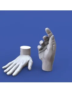 Assorted hands set No. 5, 1/16 - Royal Model RM967