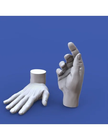Assorted hands set No. 5, 1/16 - Royal Model RM967