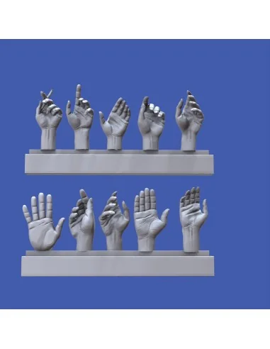 Assorted hands set No. 5, 1/16 - Royal Model RM967
