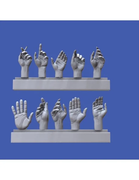 Assorted hands set No. 5, 1/16 - Royal Model RM967