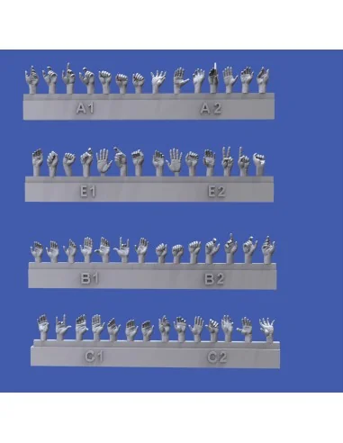 [NO_DESC] Assorted hands, 1/48 - Royal Model RM1001
