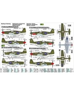 P-51 B-1 BullFrog I, 1/72 - Mistercraft C-46 2