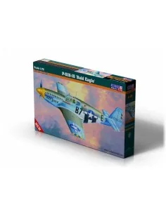 P-51 B-15 Bald Eagle, 1/72 - Mistercraft C-54