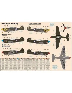 P-40E Aleutian Tiger, 1/72 - Mistercraft D-202 2