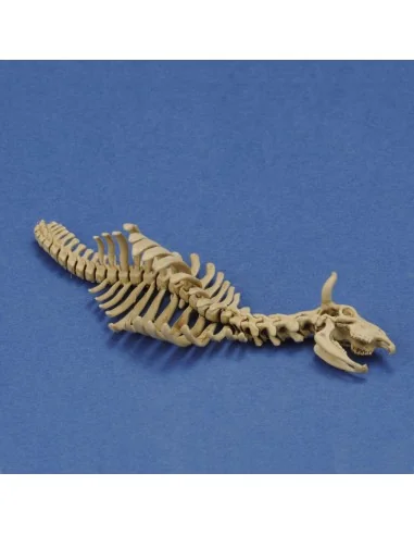 Cow skeleton n.1 3D printed, 1/35 - Royal Model RM1046