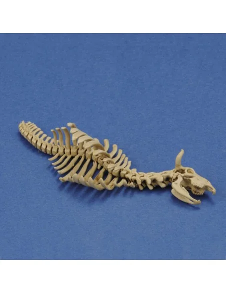 Cow skeleton n.1 3D printed, 1/35 - Royal Model RM1046