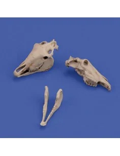 Horse skulls, 1/35 - Royal Model RM1050