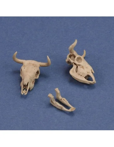 Cow skulls, 1/35 - Royal Model RM1051