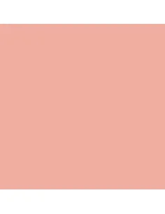Model Color: 007 - Salmon Rose 18 ml - Vallejo 70835 2