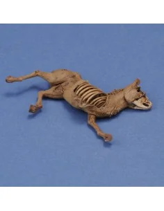 Donkey carcass, 1/35 - Royal Model RM1068
