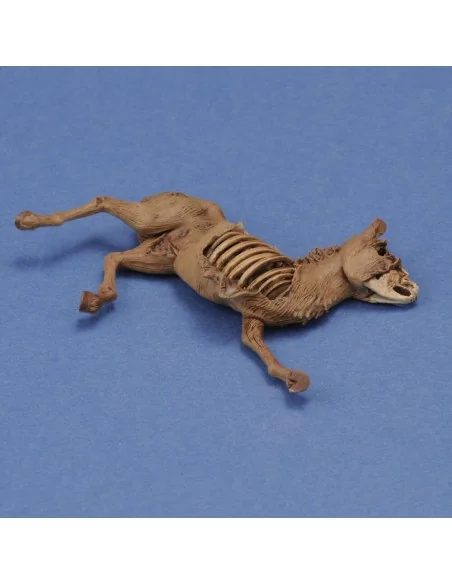 Donkey carcass, 1/35 - Royal Model RM1068