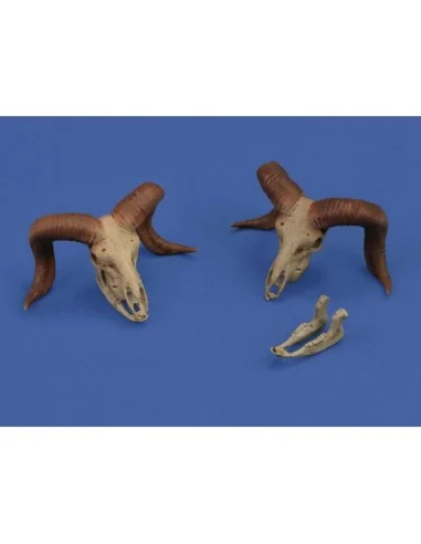 Mufflon skulls 3D printed, 1/35 - Royal Model RM1052