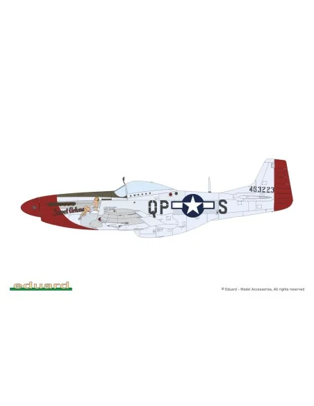 [NO_DESC] MIGHTY EIGHT: 65th Fighter Wing, 1/48 - Eduard Plastic Ki...