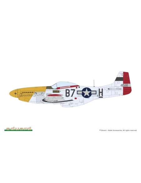 MIGHTY EIGHT: 65th Fighter Wing, 1/48 - Eduard Plastic Kits 11196