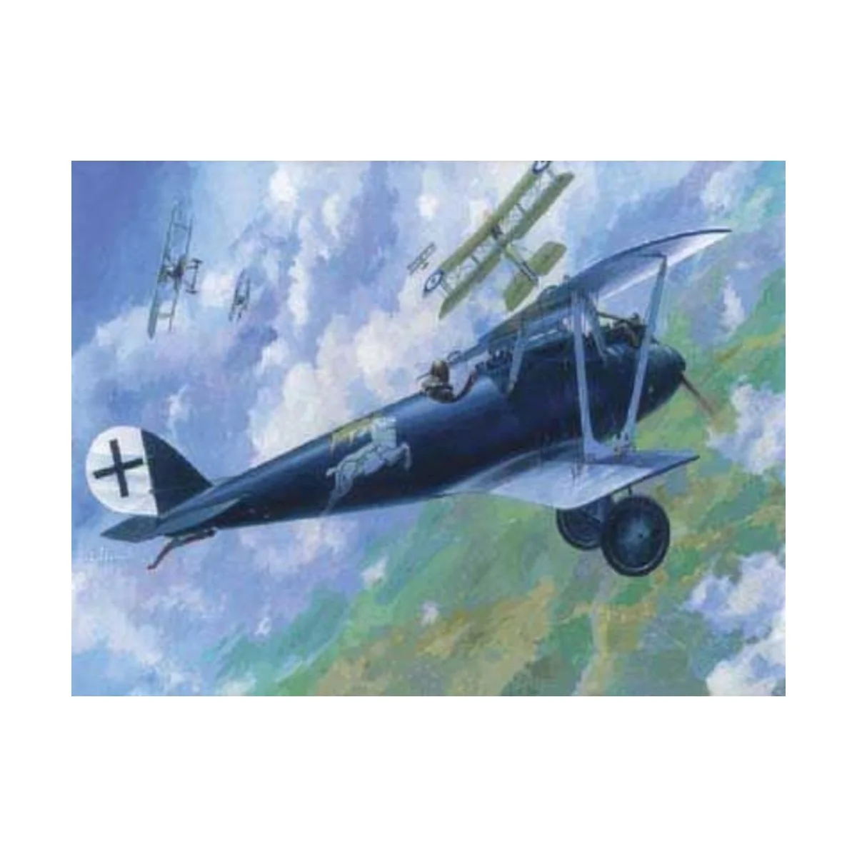 Pfalz D.IIIA, 1/72 - Roden 015