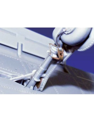 C6N1 Saiun/Myrt, 1/48 - Eduard Accessories 48439