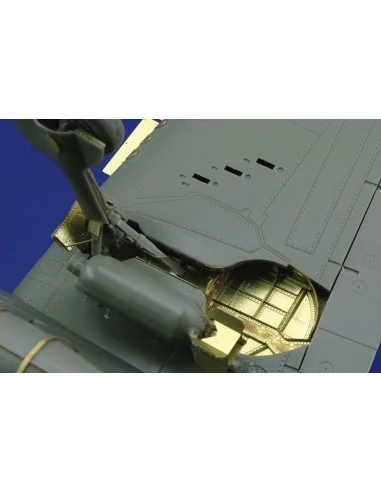 F6F Hellcat undercarriage für Eduard Bausatz, 1/48 - Eduard Accesso...