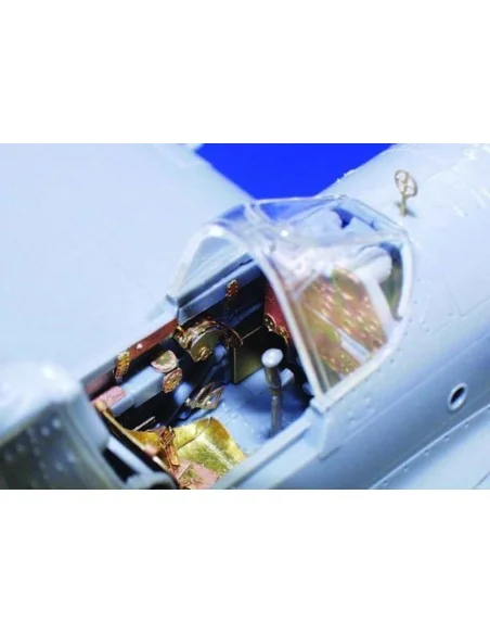P-40E Warhawk für Hasegawa Bausatz, 1/48 - Eduard Accessories 49314