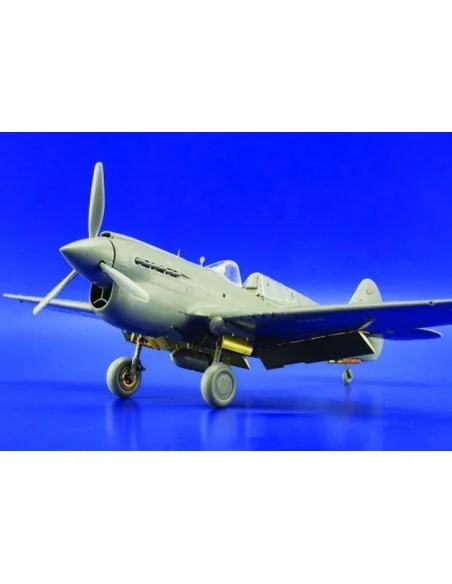 P-40E Warhawk für Hasegawa Bausatz, 1/48 - Eduard Accessories 49314