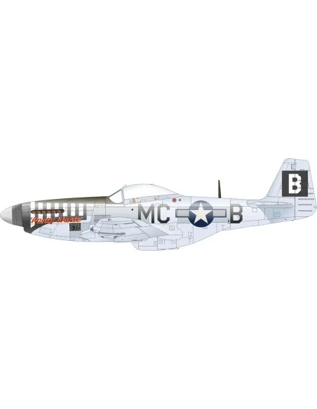 [NO_DESC] P-51D-5 8th AF EDUARD, 1/72 - Eduard Accessories D72053