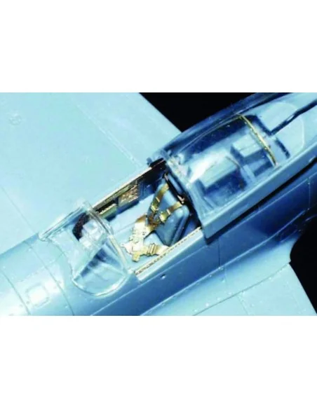 P-51D Mustang, 1/72 - Eduard Accessories 73206