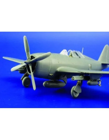 [NO_DESC] P-47D Razorback, 1/72 - Eduard Accessories 73222