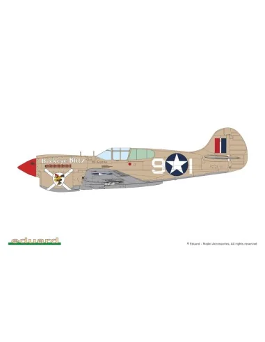 P-40K short tail, 1/48 - Eduard Plastic Kits 82243