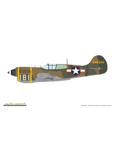 P-40K short tail, 1/48 - Eduard Plastic Kits 82243