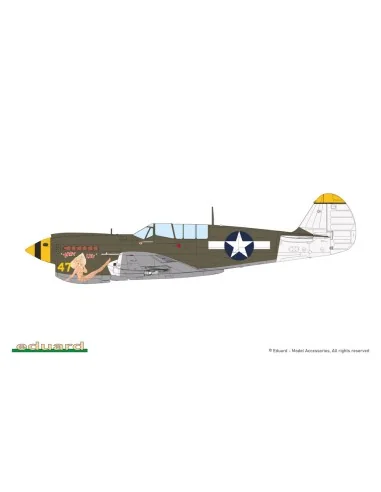 P-40N Warhawk, 1/48 - Eduard Plastic Kits 84210