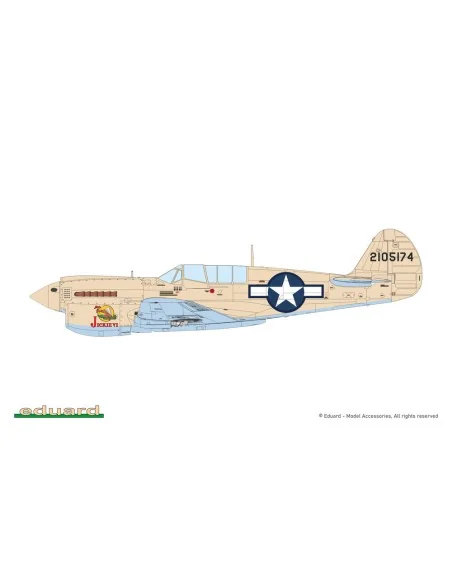 [NO_DESC] P-40N Warhawk, 1/48 - Eduard Plastic Kits 84210